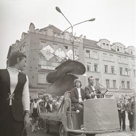 XI Wrocławskie Święto Kwiatów