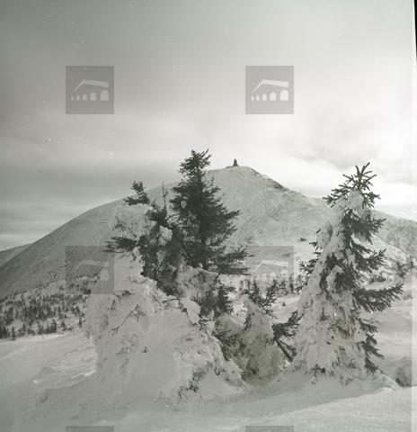 Original Obiekt cyfrowy not accessible