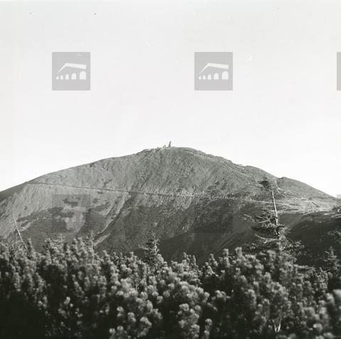 Original Obiekt cyfrowy not accessible