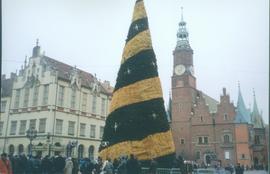 Nowy Ratusz we Wrocławiu i choinka bożonarodzeniowa
