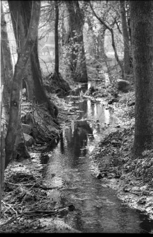 Original Obiekt cyfrowy not accessible