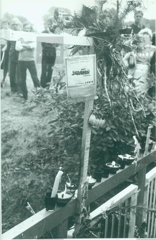 Original Digital object not accessible