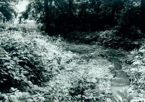 Original Obiekt cyfrowy not accessible