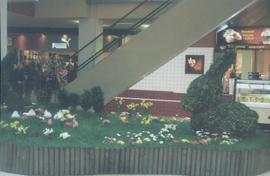 Arkady Wrocławskie